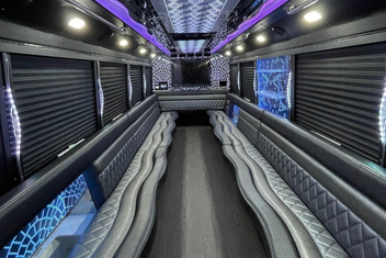 Naperville Party Bus Interior